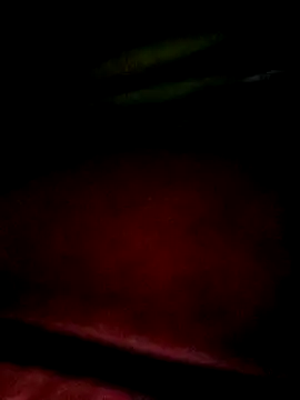 Apeesynka55211 online show from January 2026 07:17:01 PM