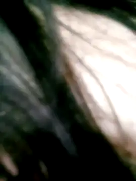 Apeesynka55211 online show from April 2026 08:15:02 PM