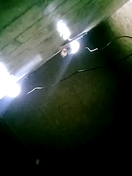 Apeesynka55211 online show from March 2026 03:56:01 AM