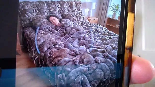 naughtyfox89 online show from March 2026 03:31:01 AM