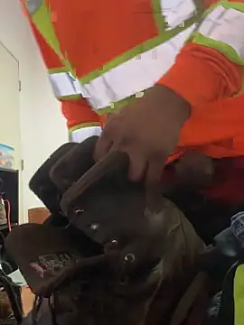 Snapshot of UrfavDilf69 chatting on November 2025 12:33:02 PM UrfavDilf69 online show from November 2025 12:33:02 PM