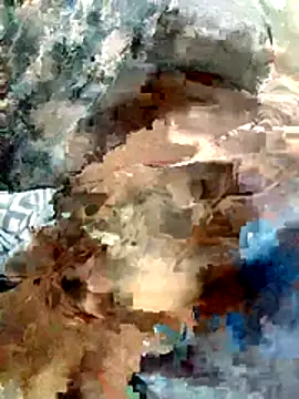 harinisree online show from December 2025 02:41:02 PM