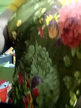 harinisree online show from November 2025 03:06:01 AM