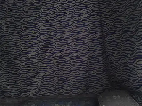 joy cute online show from February 2026 11:46:02 PM