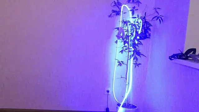 Ashley Brookss online show from December 2025 08:04:02 PM