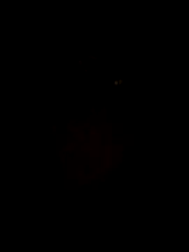 Snapshot of RAJV_ chatting on October 2025 02:21:01 AM RAJV online show from October 2025 02:21:01 AM