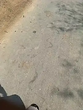 PEEHU-50 online show from March 2026 06:20:02 AM