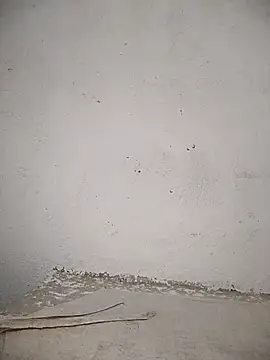 PEEHU-50 online show from November 2025 11:30:01 PM