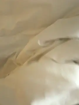 HenryLee1983-cums online show from November 2025 12:44:02 AM