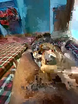 jerry 03467 online show from October 2025 06:04:01 PM