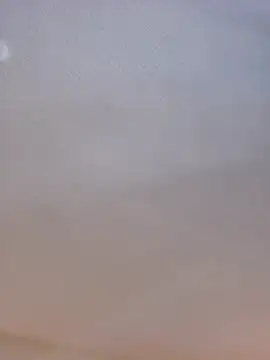 Roddog18 online show from February 2026 07:11:01 PM