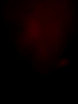 Snapshot of bunty-babli chatting on November 2025 05:11:02 AM bunty-babli online show from November 2025 05:11:02 AM