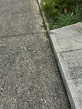 Snapshot of nanaisbackk chatting on February 2026 02:37:02 PM nanaisbackk online show from February 2026 02:37:02 PM