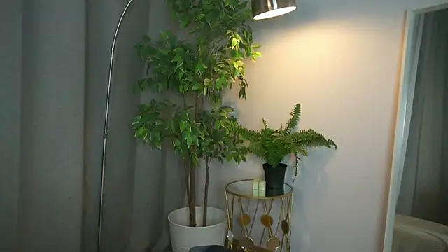 Snapshot of PollyMayer chatting on December 2025 09:12:01 PM PollyMayer online show from December 2025 09:12:01 PM