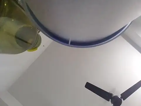 amanWildstalion online show from March 2026 10:15:01 AM