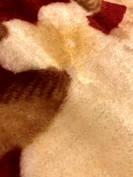 Lamarocainee online show from October 2025 09:16:02 PM