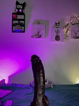 Solaangel  online show from April 2026 02:14:02 AM