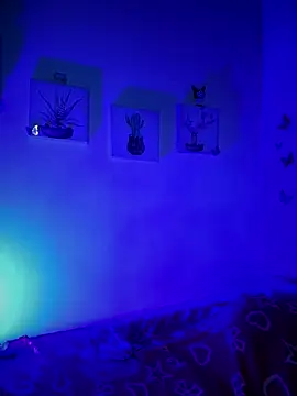 Solaangel  online show from December 2025 11:43:01 PM