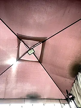 Ada Pink online show from December 2025 05:58:02 PM