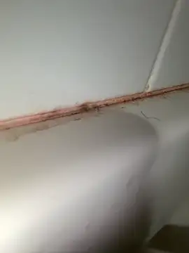 StroknGoon69 online show from November 2025 11:52:02 PM