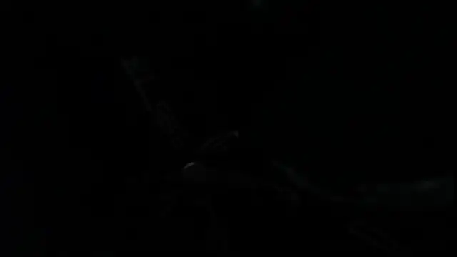 SteveDickson  online show from October 2025 09:15:01 PM