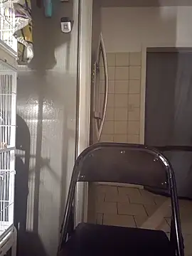 Curious9884 online show from October 2025 12:36:02 AM