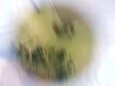 Masha412111 online show from October 2025 08:30:01 PM