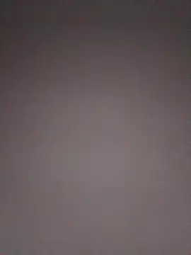 JNTre online show from February 2026 02:22:01 AM