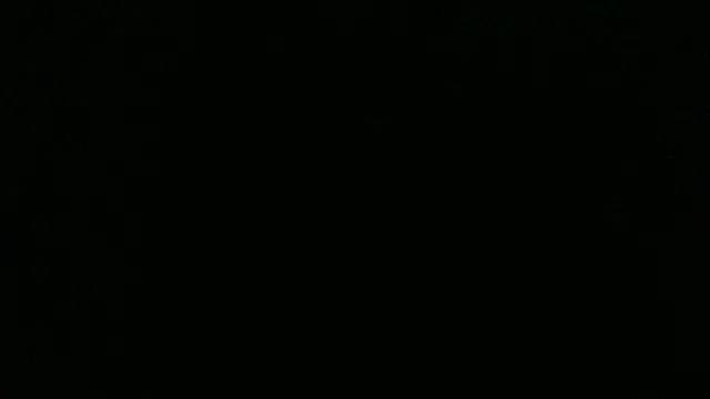 Im david02 online show from November 2025 02:31:02 PM