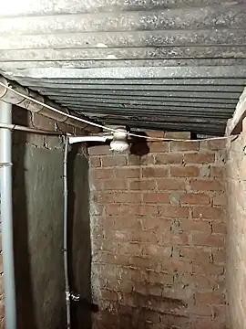 Alex321Flores online show from March 2026 04:19:01 AM