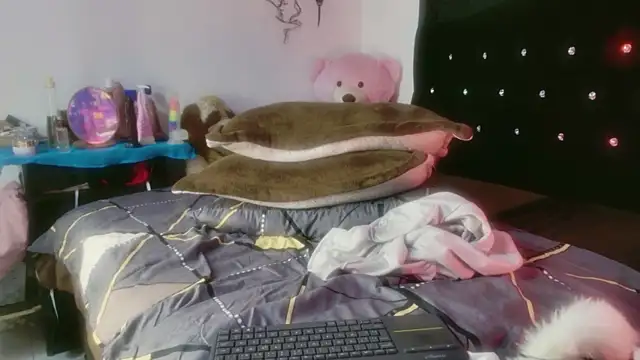 Tyler cat online show from May 2026 01:47:01 PM