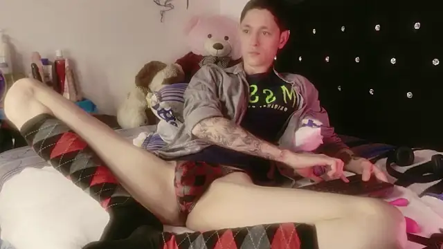 Tyler cat online show from April 2026 08:19:01 AM