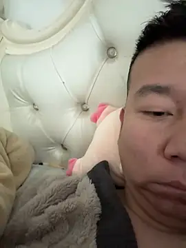 dachui 168 online show from February 2026 01:37:01 AM