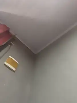 Priihmedeiros online show from December 2025 11:13:01 AM