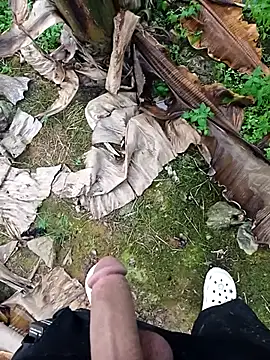 Snapshot of Sikici0734 chatting on November 2025 02:01:01 PM Sikici0734 online show from November 2025 02:01:01 PM