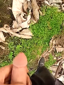 Snapshot of Sikici0734 chatting on January 2026 08:32:01 AM Sikici0734 online show from January 2026 08:32:01 AM