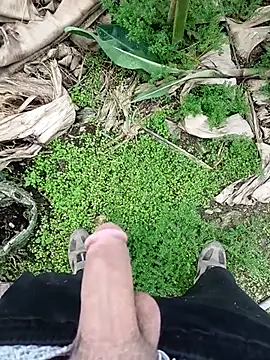 Snapshot of Sikici0734 chatting on November 2025 09:35:01 AM Sikici0734 online show from November 2025 09:35:01 AM