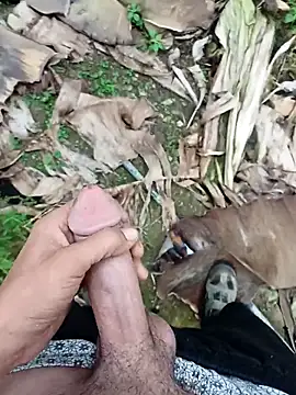 Snapshot of Sikici0734 chatting on November 2025 09:24:02 AM Sikici0734 online show from November 2025 09:24:02 AM