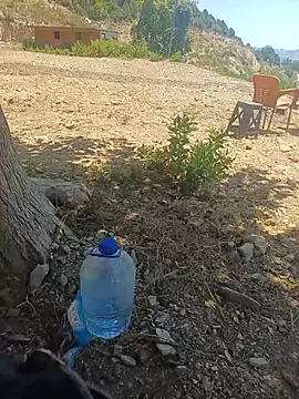 Sikici0734 online show from July 2026 10:01:01 AM