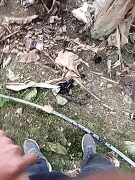 Snapshot of Sikici0734 chatting on November 2025 09:20:02 AM Sikici0734 online show from November 2025 09:20:02 AM