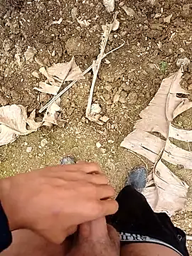 Sikici0734 online show from April 2026 11:33:01 AM