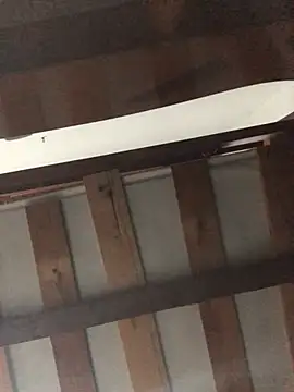 Lorennapires online show from March 2026 08:09:02 PM