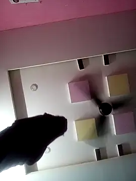 supcpl online show from February 2026 06:06:02 PM