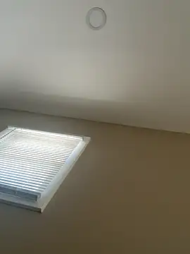 murphdolla online show from December 2025 04:16:01 PM