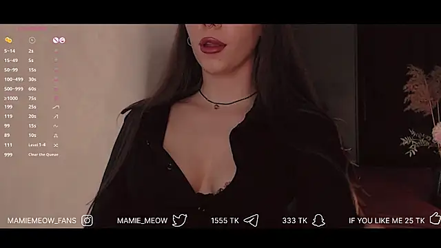 Snapshot of Mamiemeow chatting on February 2025 02:58:02 PM Mamiemeow online show from February 2025 02:58:02 PM