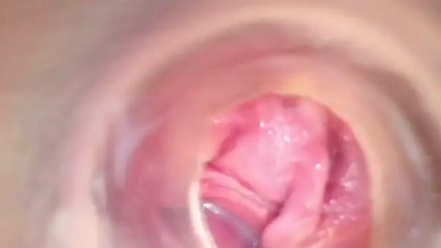 Snapshot of shannon_kinne_ chatting on November 2025 08:29:01 PM shannon kinne online show from November 2025 08:29:01 PM