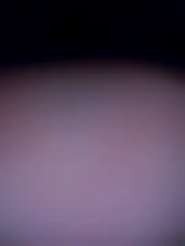 Snapshot of shannon_kinne_ chatting on November 2025 10:30:01 AM shannon kinne online show from November 2025 10:30:01 AM