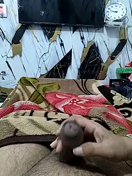 Nisha sonu couple online show from November 2025 04:16:01 AM