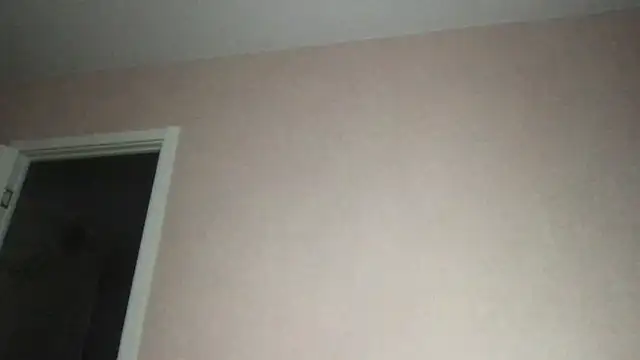 Bally Bay online show from November 2025 12:53:01 AM