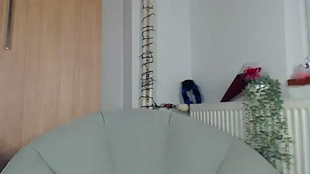 adacgrey online show from February 2026 06:51:01 PM